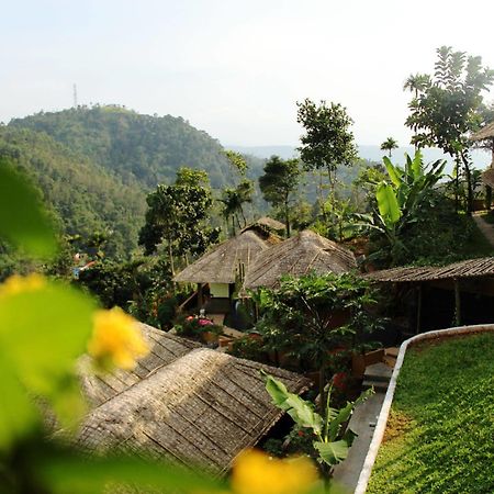 Hotel Eco Tones Munnar Zewnętrze zdjęcie